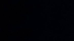 Trump salió bien librado de las elecciones de medio término