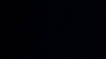 Trump salió bien librado de las elecciones de medio término