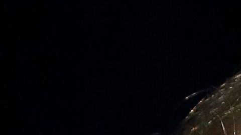 Trump salió bien librado de las elecciones de medio término