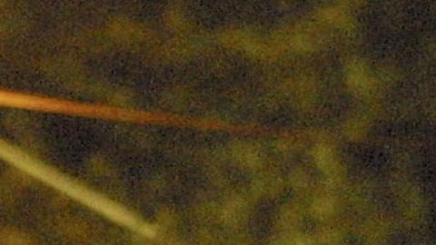 Si la situación lo demanda, cualquier policía te puede parar