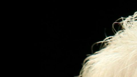 De ganar los demócratas Trump sufriría una fuerte derrota política