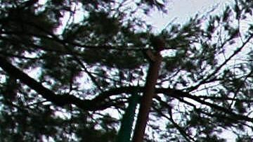 AMLO quiere convertir la residencia presidencial en un centro cultural