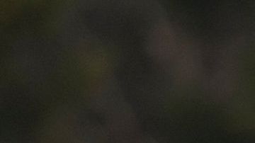 Las peticiones de refugio de estadounideses a Canadá crecieron desde 2017.