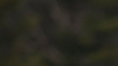 Las peticiones de refugio de estadounideses a Canadá crecieron desde 2017.