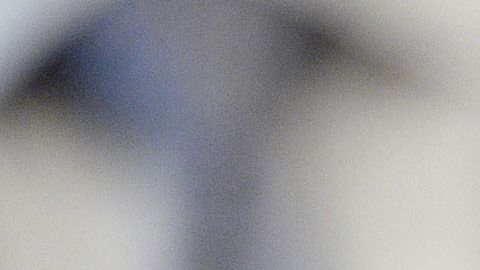 Trump usó su fundación como una herramienta para su propio beneficio