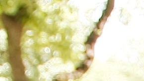 "Tango", el auto eléctrico más delgado del mundo