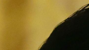 la Orden del Águila Azteca es la condecoración más alta a extranjeros