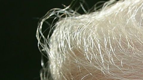 La última vez que Arizona tuvo un senador demócrata fue en 1988.