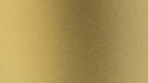 Ricardel habría filtrado historias negativas de Melania a los medios