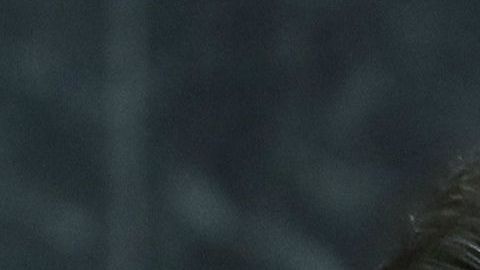 Abogado de "El Chapo" incrimina a Peña Nieto y Felipe Calderon