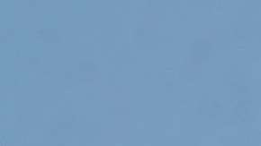 Gracias a todos quienes defienden a los inmigrantes.