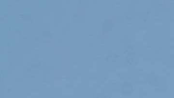 Gracias a todos quienes defienden a los inmigrantes.