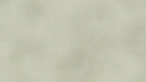 El presidente Trump se autodefine como un "golpeador".