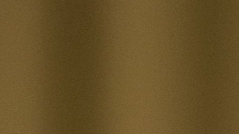 Indignación total por las palabras del congresista republicano