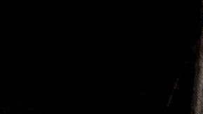 Melania llama a votar por los republicanos y en contra de los demócratas y medios de comunicación