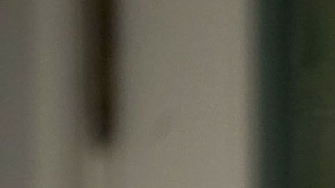 Barron Trump durante el primer año del gobierno de su padre.