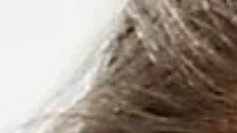 Sigue el intercambio entre la primera dama y su antecesora, Michelle Obama