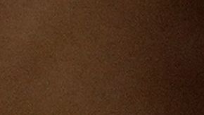 Trump apela a los más bajo  con el fin de conseguir votos