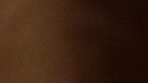 Trump apela a los más bajo  con el fin de conseguir votos