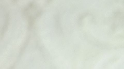 El presidente Trump defiende la alianza con Arabia Saudita.