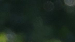 La pareja estuvo en Vermont el año pasado.