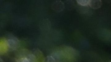 La pareja estuvo en Vermont el año pasado.