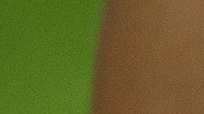 Bulgaria, Serbia, Grecia y Rumanía quieren organizar el Mundial 2030 de manera conjunta