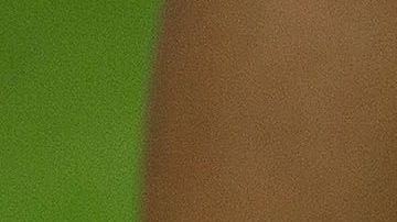 Bulgaria, Serbia, Grecia y Rumanía quieren organizar el Mundial 2030 de manera conjunta