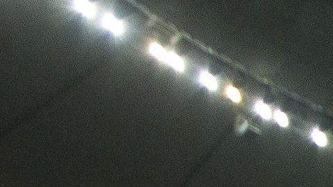 Chiva Loca es el nombre de la mascota del Club Guadalajara