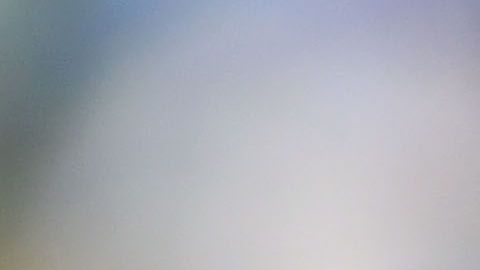 Manuel Pellegrini, técnico del West Ham, elogió a Javier "Chicharito" Hernández