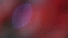 Alan Pulido es uno de los convocados por Cardozo para encarar el Mundial de Clubes