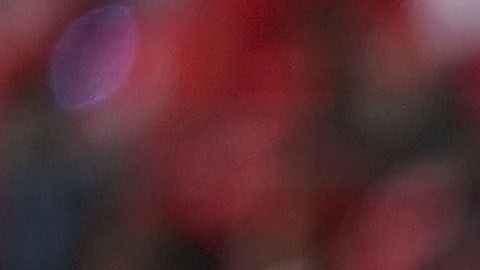 Alan Pulido es uno de los convocados por Cardozo para encarar el Mundial de Clubes