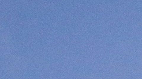 Los "favores sexuales" serían una práctica añeja en los Tiburones Rojos del Veracruz