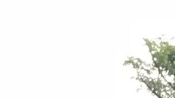 La caravana migrante camino a Tepanapepec desde Arriaga, Chiapas.