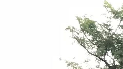 La caravana migrante camino a Tepanapepec desde Arriaga, Chiapas.