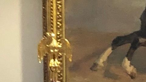 Trump anuncia más medidas de "mano dura" contra caravana de migrantes. Foto: María Peña/Impremedia