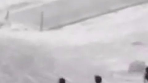 El momento que los inmigrantes se entregaron. Captura