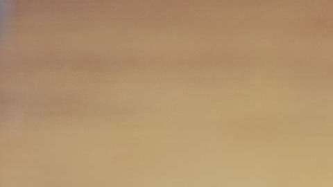 CDC pide que no consuman lechuga romana.