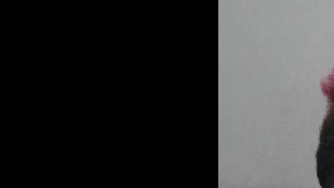 Hijo del rapero, activista y promotor 'Tio Luke', de la banda 2 Live Crew