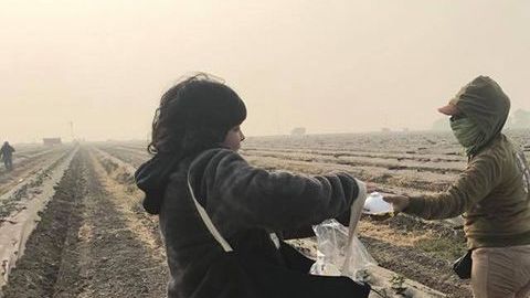 mautq-oman-masks-farm-workers-1