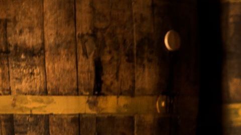 "Es un trabajo súper inusual, ningún día se parece al otro", dice la nacida en Puerto Plata, República Dominicana./Cortesía