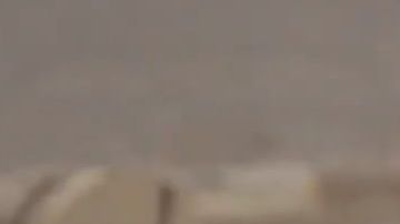 La primera dama durante su visita a Egipto