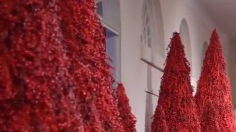 La Primera Dama publicó un video recorriendo la Casa Blanca.