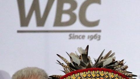 Saúl Canelo Álvarez recibirá el Premio Nacional del Deporte en el primer domingo de diciembre