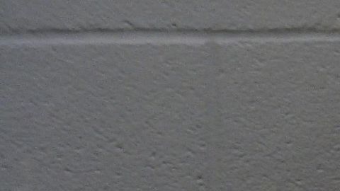 Sheila Ridenour. Suministrada.