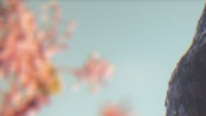 Ian, en la carrera por el Oscar.