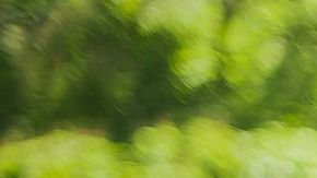 Detrás de la pancita se escondía una cruel verdad.