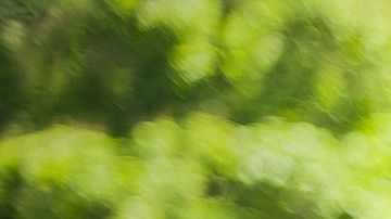 Detrás de la pancita se escondía una cruel verdad.