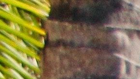 rafael-kellermann-streit-528308-unsplash