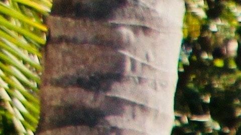 rafael-kellermann-streit-528308-unsplash